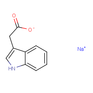 無水醋酸鈉 .png